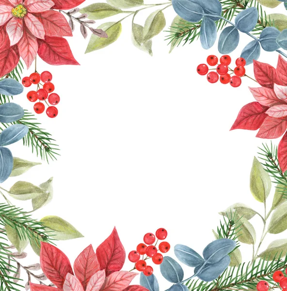 Karácsonyi Keret Poinsettiával Zöldséggel Lucfenyővel Fenyőággal Magyal Újévi Design Díszes — Stock Fotó