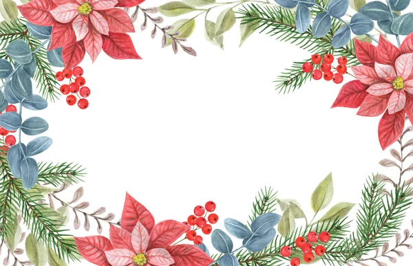 Karácsonyi Keret Poinsettiával Zöldséggel Lucfenyővel Fenyőággal Magyal Újévi Design Díszes — Stock Fotó