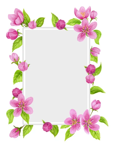 春花框架与苹果树粉红色的花朵 绿色的叶子隔离在白色的背景 用于贺卡或请柬的水彩画 — 图库照片