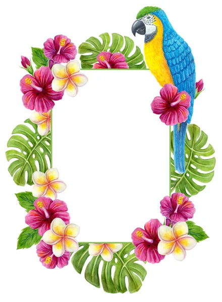 Tropisch Frame Met Papegaai Bloemen Met Hand Getekend Aquarel Schilderen — Stockfoto