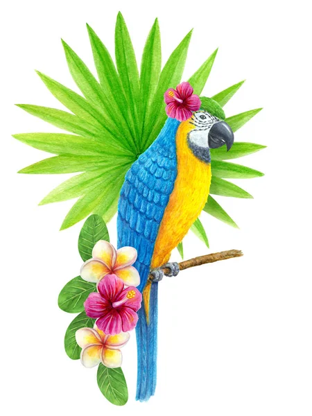 鹦鹉Ara与热带花束芙蓉花 弗兰吉帕尼和扇棕榈叶 异国情调的花卉构图 树叶水彩画 花卉和蓝黄相间的金刚鹦鹉 — 图库照片