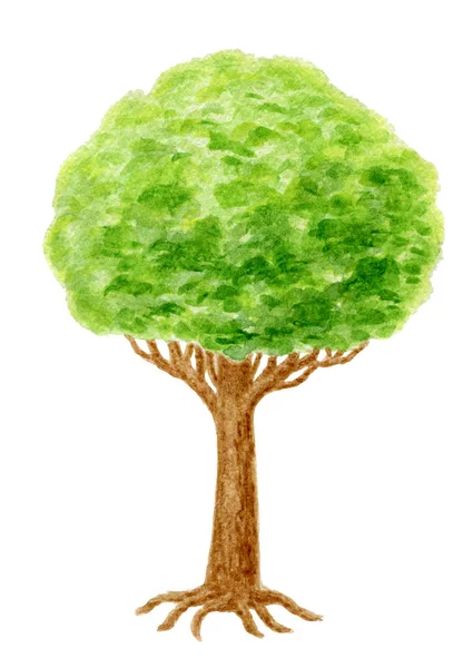 緑の木 手描き水彩画 — ストック写真