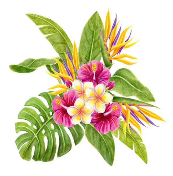 Tropik Bir Buket Beyaz Arka Planda Pembe Çin Gülü Çiçekleri — Stok fotoğraf