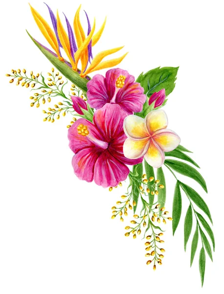 Bouquet Tropicale Pittura Acquerello Disegnato Mano Con Rosa Fiori Cinesi — Foto Stock