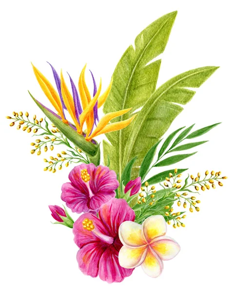 Tropischer Strauß Handgezeichnete Aquarellmalerei Mit Rosa Chinesischen Hibiskusrosenblüten Strelitzien Frangipani — Stockfoto