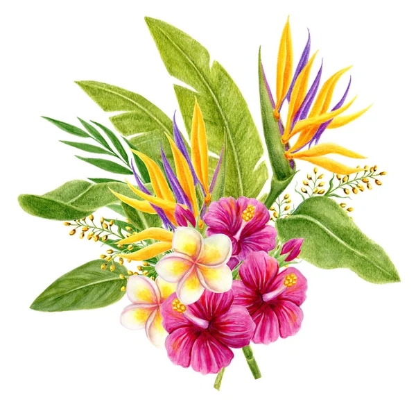 热带花束 手绘水彩画 用粉红色的中国芙蓉玫瑰花 蒲公英和棕榈叶制成 背景为白色 花夏天的作文 设计要素 — 图库照片
