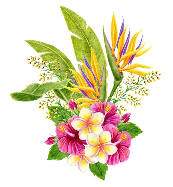 Ramo Tropical Pintura Acuarela Dibujada Mano Con Flores Rosa Hibisco —  Fotos de Stock