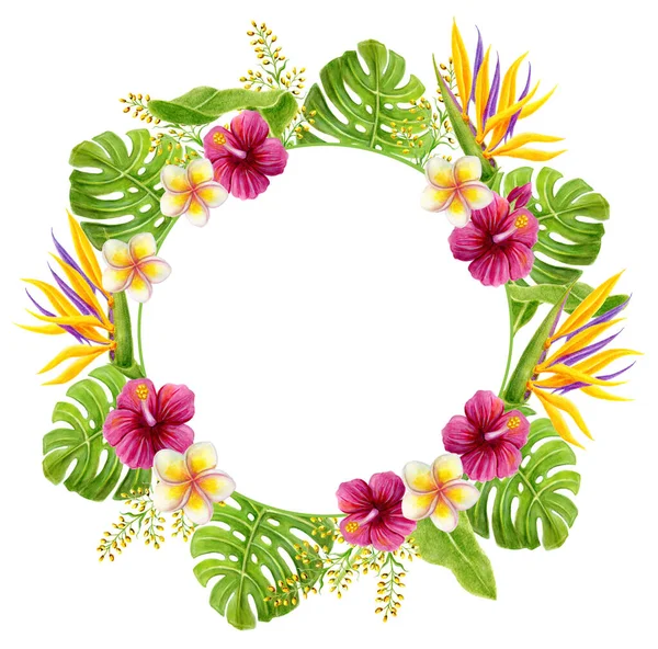 Tropical flowers round frame. Hand drawn watercolor painting with; Hibiscus rose; strelitzia; frangipani and palm leaves isolated on white background. Floral summer border.