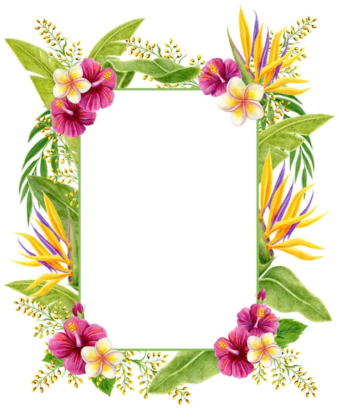 Tropische Bloemen Frame Met Hand Getekend Aquarel Schilderen Met Hibiscus — Stockfoto