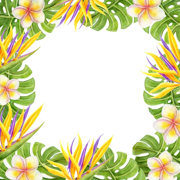 Handgezeichneter Tropischer Aquarellrahmen Mit Frangipani Strelitzien Paradiesvogelblumen Und Palmblättern Gestaltungselement — Stockfoto