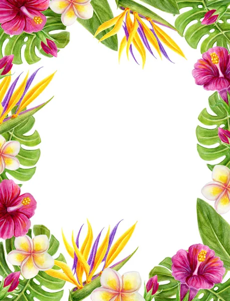 热带框架 手绘水彩画与芙蓉 紫锥菊 天堂鸟花和棕榈叶 阿罗哈夏威夷欢迎会 — 图库照片