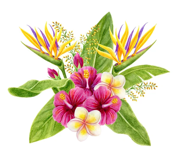 Tropical bouquet. Hand drawn watercolor painting with pink chinese hibiscus rose flowers, strelitzia, frangipani and palm leaves isolated on white background. Floral summer composition. Design element.