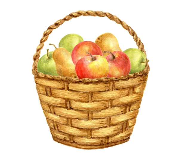 Kosz Jabłkami Gruszkami Białym Tle Projekt Karty Święto Dziękczynienia Lub — Zdjęcie stockowe
