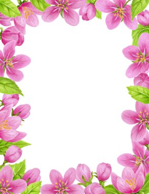 Elma ağacı çiçekli bahar çiçekleri pembe çiçekler, tomurcuklar, yeşil yapraklar. Tebrik kartı veya davet için suluboya Clipart.