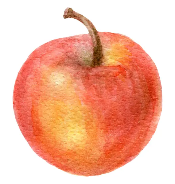 Jabłko Kolorze Czerwonym Izolowane Białym Tle Świeże Owoce — Zdjęcie stockowe