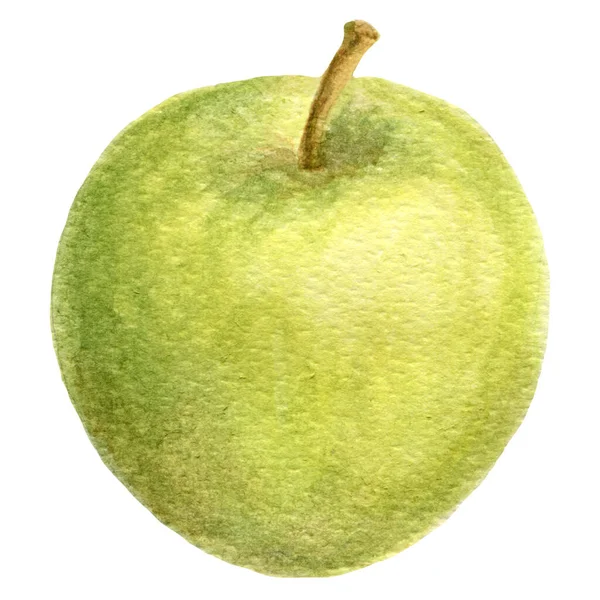 Jabłko Zielonym Kolorze Izolowane Białym Tle Świeże Owoce — Zdjęcie stockowe
