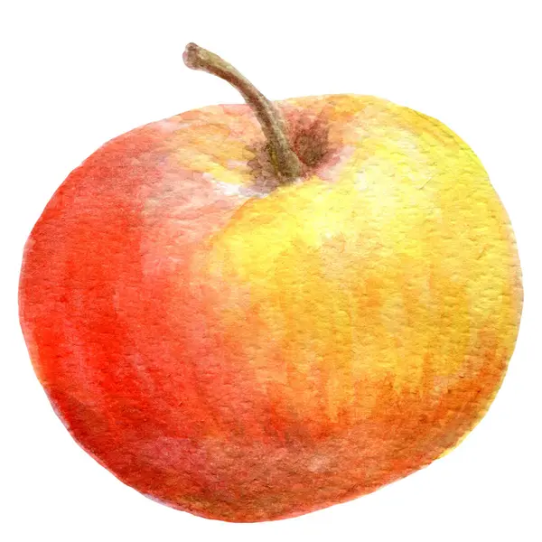 Μήλο Κόκκινο Κίτρινο Χρώμα Που Απομονώνεται Λευκό Φόντο Ωρίμασε Φρέσκα — Φωτογραφία Αρχείου