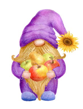 Şirin Cüce beyaz arka planda elma armudu meyvesi tutuyor. Şükran Günü ya da Hasat Günü kart tasarımı. Suluboya çizimi.