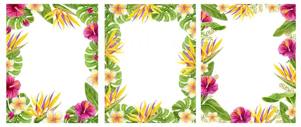 Ustaw Tropikalną Ramę Ręcznie Malowane Akwarele Hibiskusem Strelitzią Rajem Kwiatów — Zdjęcie stockowe