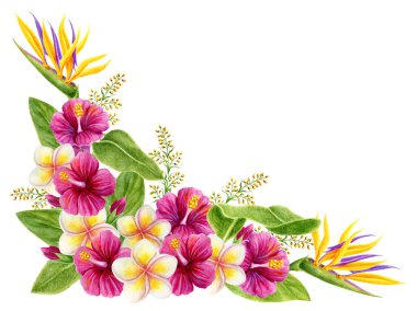 Tropik çiçekli köşe süsü. Beyaz arka planda pembe çiçekli suluboya resim, strelitzia, frangipani ve palmiye yaprakları izole. Çiçekli yaz kompozisyonu.