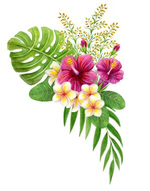 Tropik bir buket. Beyaz arka planda pembe Çin gülü çiçekleri, frangipani ve palmiye yapraklarıyla el yapımı suluboya resim. Çiçekli yaz kompozisyonu. Tasarım ögesi.
