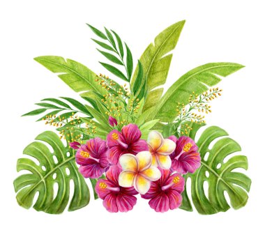 Tropik bir buket. Beyaz arka planda pembe Çin gülü çiçekleri, frangipani ve palmiye yapraklarıyla el yapımı suluboya resim. Çiçekli yaz kompozisyonu. Tasarım ögesi.