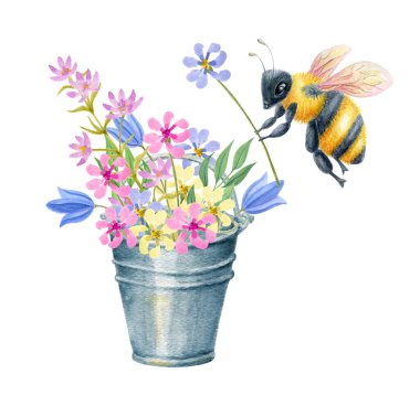 Papatya çiçekli arı ve kır çiçekleri kovası. Suluboya çizim ortamı. 