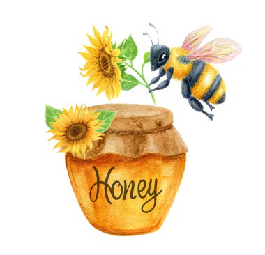 Cam kavanozdaki arı ve bal ayçiçeğinin yanında. Sağlıklı doğal beslenme kavramı. Suluboya çizimi.