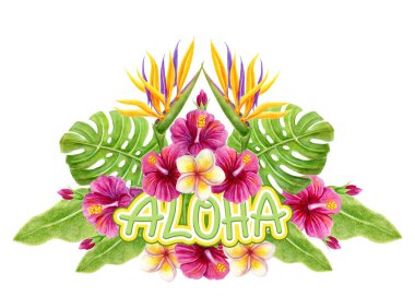 Aloha Hawaii selamı. Tropik yeşillik buketi. Hibiscus çiçekleri ve beyaz arka planda izole edilmiş palmiye yapraklarıyla el yapımı suluboya resim. Tasarım ögesi.