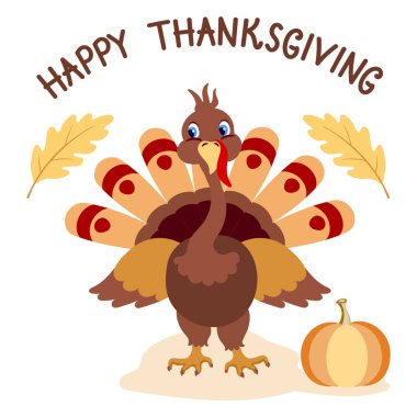 Şükran Günü kartı içinde komik hindi ve balkabağı yazılı kartpostal için..