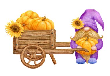Gnome ve ahşap el arabası ve balkabağı hasadı ve ayçiçeği. Kırsal çiftlik arabasının suluboya çizimi. Şükran Günü veya Hasat Günü kart tasarımı.