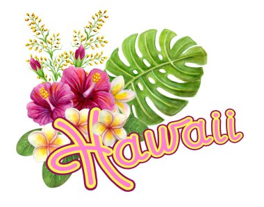 Hawaii yazıtları. Tropikal el, çiçekli suluboya resim, frangipani ve palmiye yaprakları. Tasarım elemanı. Hawaii selamlaması.