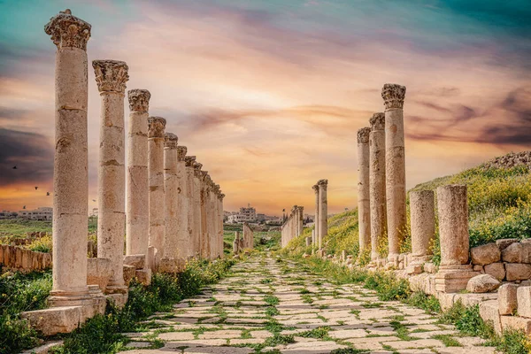 Ruines Ville Jerash Jordanie — Photo