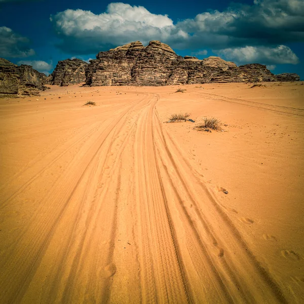 사막의 타이어 — 스톡 사진