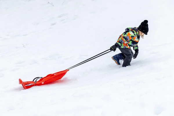 Little Caucasian Girl Drags Bobsleigh Snowy Track — Stock Photo, Image