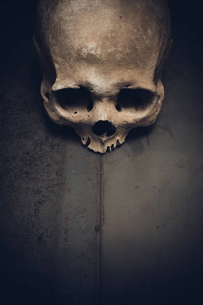 金属を背景にした人間の頭蓋骨 — ストック写真