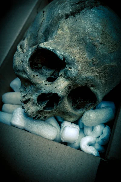 Crâne Humain Dans Une Boîte Avec Emballage — Photo