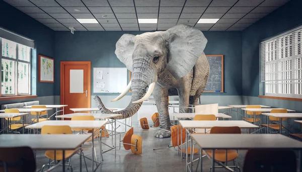 現代の学校の教室の中の象です 3Dレンダリング — ストック写真