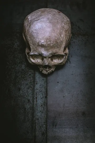 金属背景下的人类头骨 — 图库照片