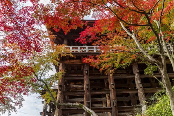 Kiyomizudera Templo Moldura Madeira Árvores Bordo Vermelho — Fotografia de Stock