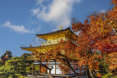 Sonbaharda Kinkaku-ji tapınağı ve bahçesi.