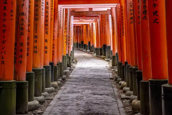 Túnel Torii Icônico Templo Fushimi Inari — Fotografia de Stock