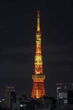 Meşhur Tokyo kulesinin gece manzarası.