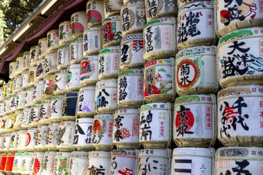 Tokyo 'daki Meiji Jingu tapınağında sakadaru.