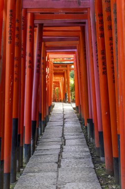 Tokyo 'daki Otome Inari Tapınağı' nda torii