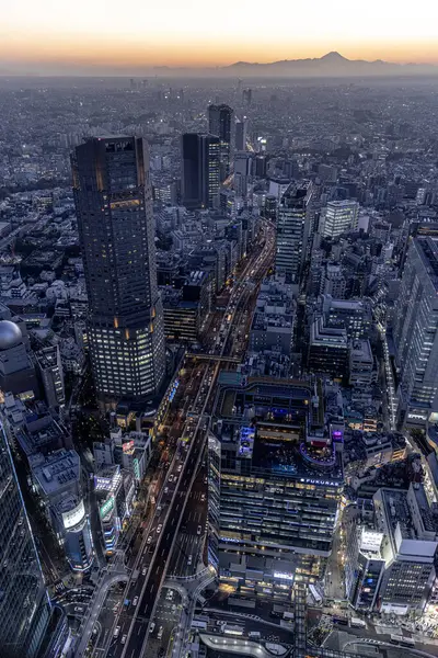 Tokyo Japan November 2023 Aerial View Tokyo City Sunset Visible — Stock Photo, Image
