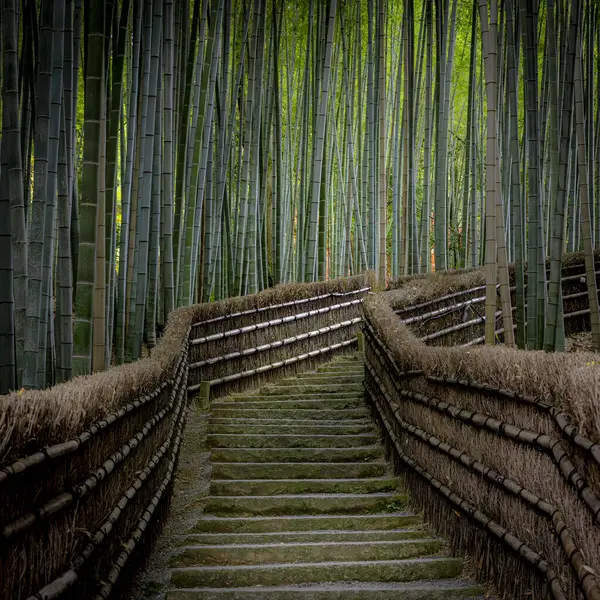 Staircase Bamboo Forest Arashiyama Kyoto — Stock Photo, Image