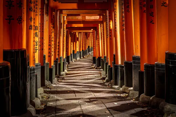 Fushimi Inari Taisha Path Vibrant Torii Gates Shinto Shrine Japan — Stock Photo, Image