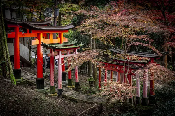 Torii Tore Säumen Einen Ruhigen Pfad Beim Fushimi Inari Schrein Stockbild