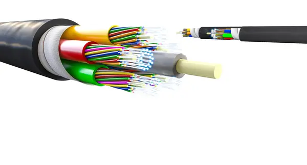 Çapraz Kesitli Fiber Optik Kablo Görünür Çekirdekler Izole Edilmiş Beyaz - Stok İmaj